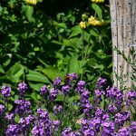 Border met insectenpaal Natuurlijk Tuinontwerp