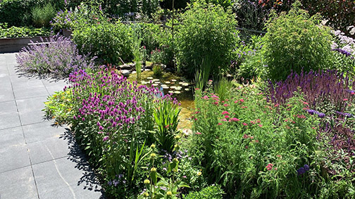 Stijlen ontwerpen - Natuurlijk tuinontwerp - vijver met planten en bloemen