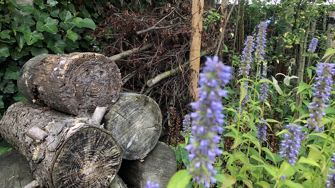 Diervriendelijke tuinaccessoires - Natuurlijk tuinontwerp - takkenril en houtstammen