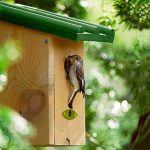 mezenkast - waarom een vogelhuisje of nestkast - Natuurlijk tuinontwerp