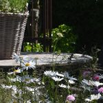 Meest gemaakte fouten - groene tuin met zitje - Natuurlijk tuinontwerp
