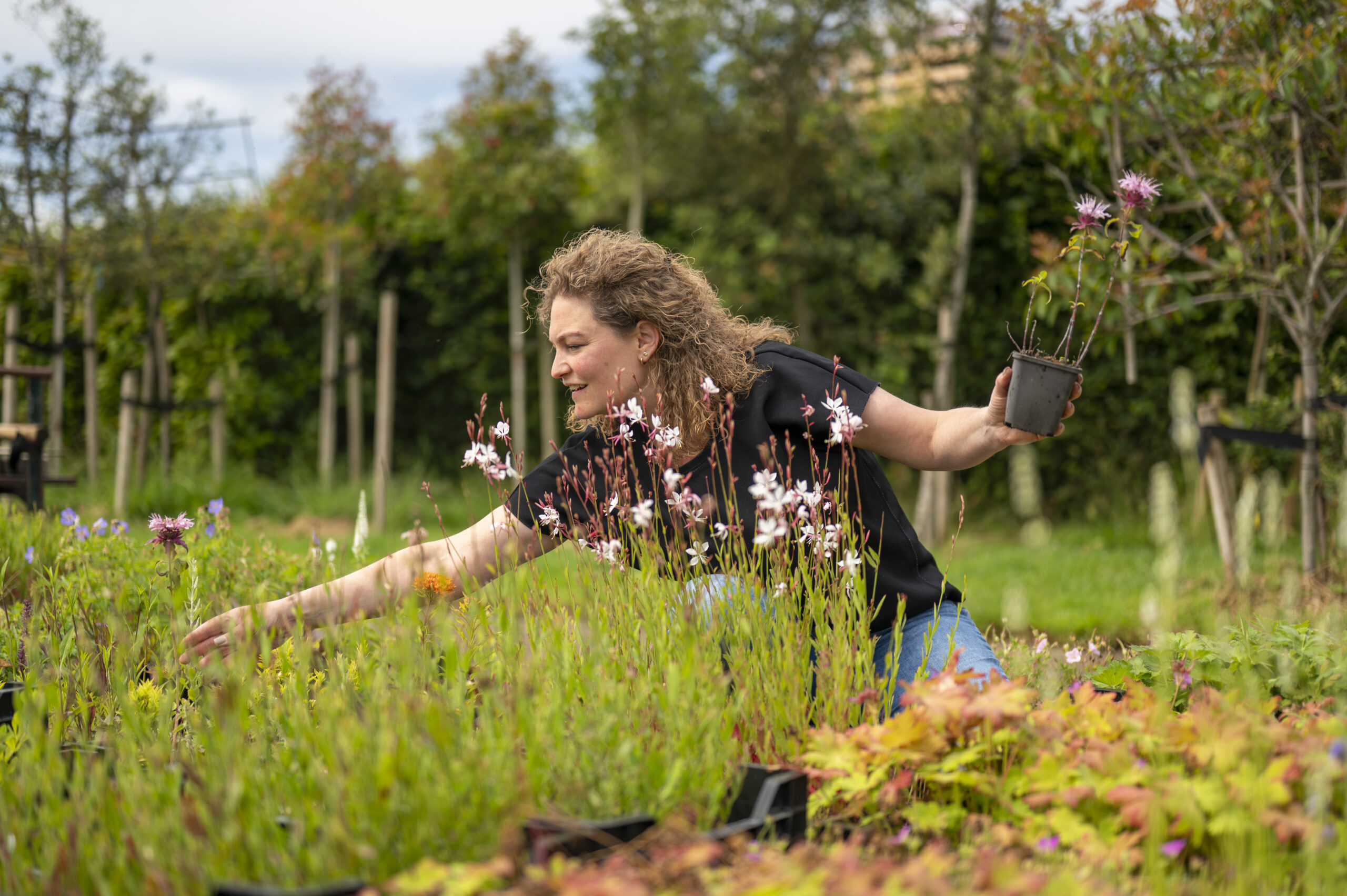 Open-dagen-2025-Natuurlijk-Tuinontwerp